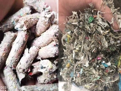 2000 uur stortplaats MSW RDF WASTE Pellet Mill Machine voor het maken van pellet 7.5kw