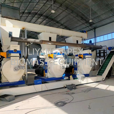 Large 20T/H Biomass Wood Pellet Production Line With First Class Design No Dust